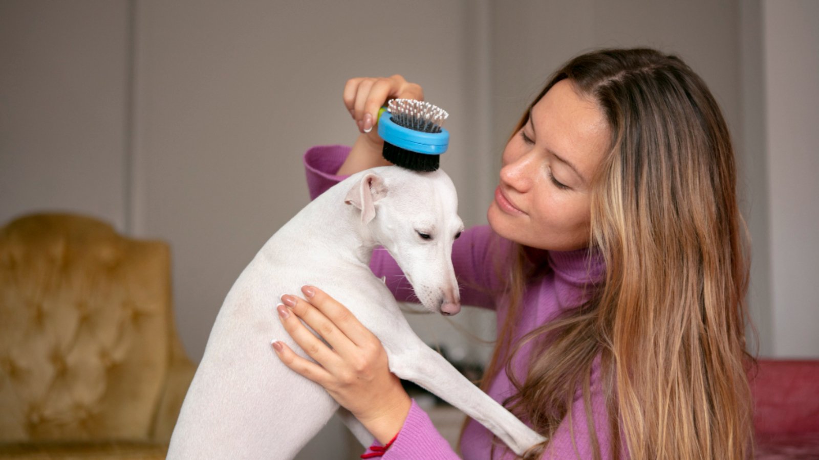 A woman brushes a white dog in Loganville, showcasing the joy of dog brushing with her bestdoodle companion.