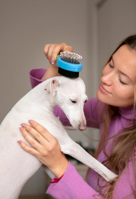 A woman brushes a white dog in Loganville, showcasing the joy of dog brushing with her bestdoodle companion.