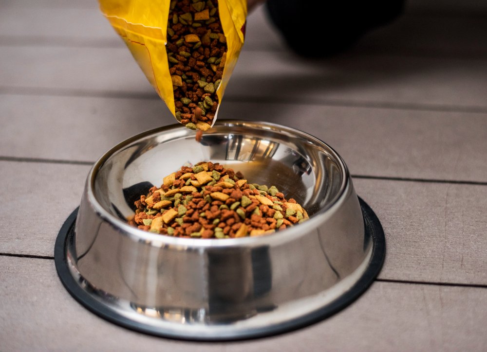 A person pours premium dog food into a bowl, emphasizing nutrition in a luxurious coat for pets in Loganville.