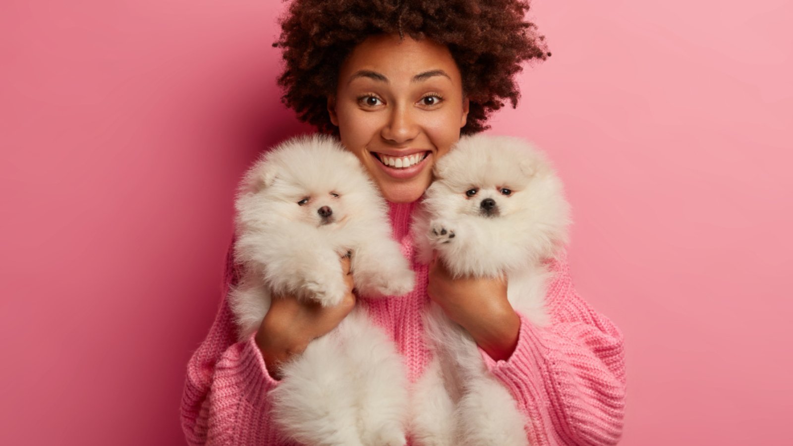 A woman with two luxury Pomeranians showcasing stylish hairstyles against a pink background in Loganville.