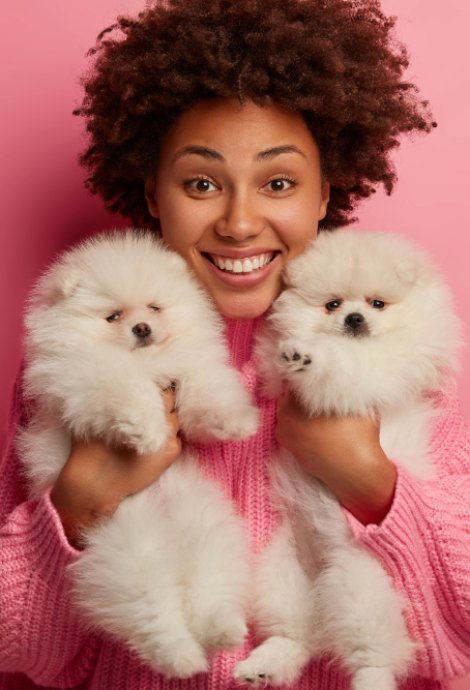 A woman with two luxury Pomeranians showcasing stylish hairstyles against a pink background in Loganville.